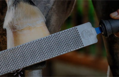 Shop – Farrier Products